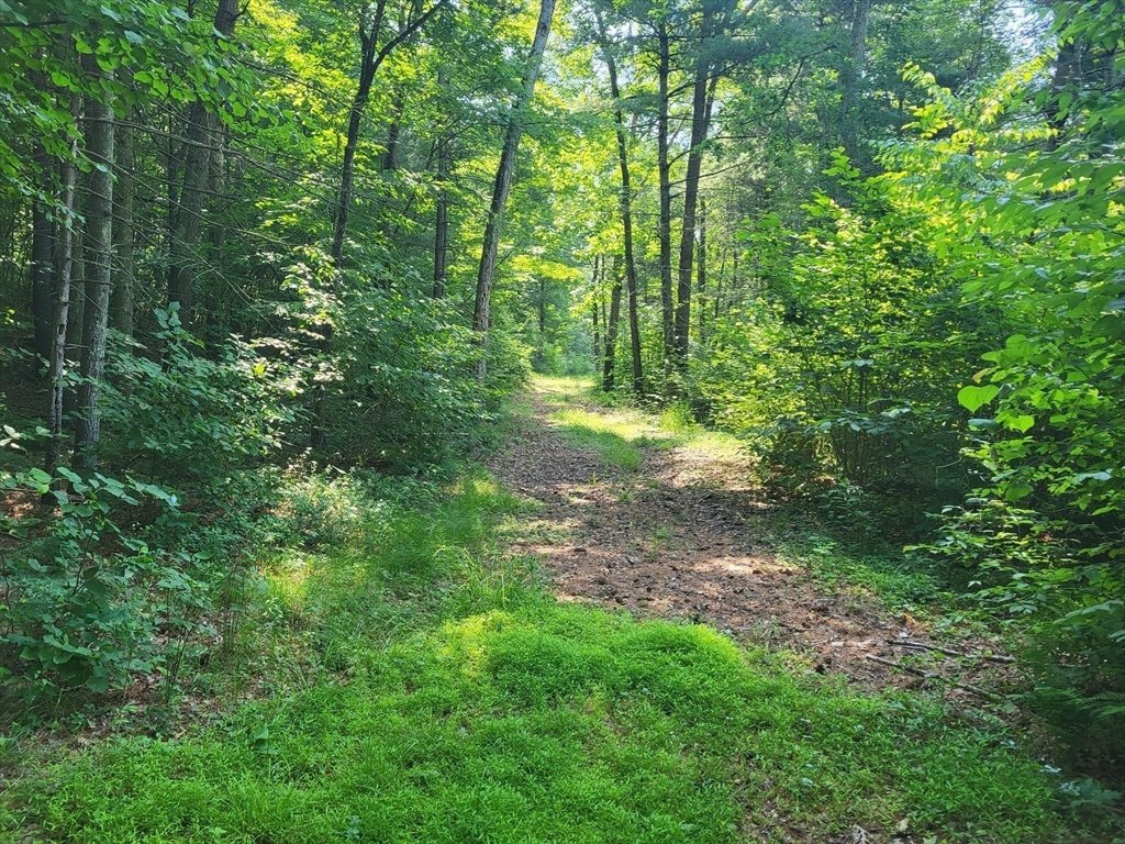 Xoxo River Rd Property Photo 11