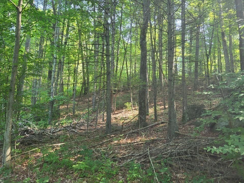 Xoxo River Rd Property Photo 12