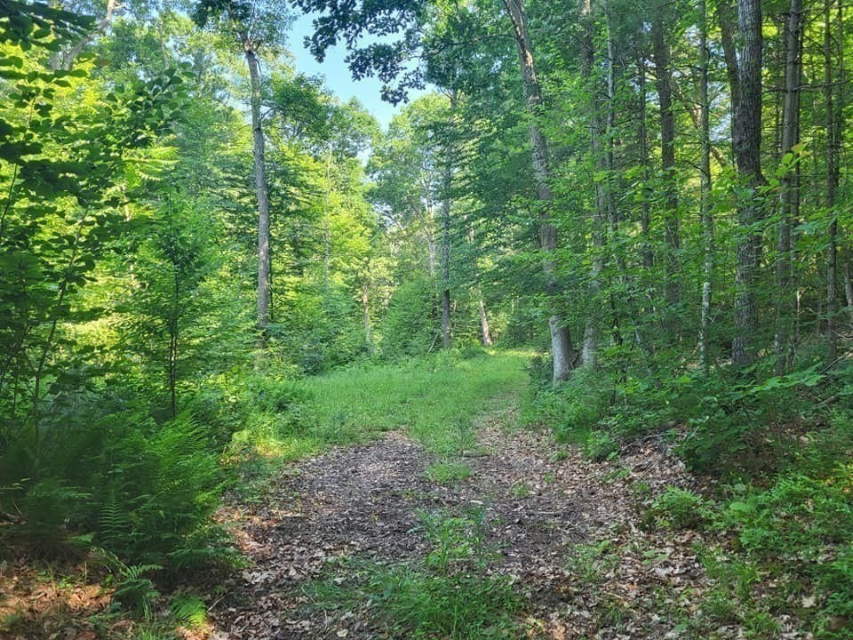 Xoxo River Rd Property Photo 13