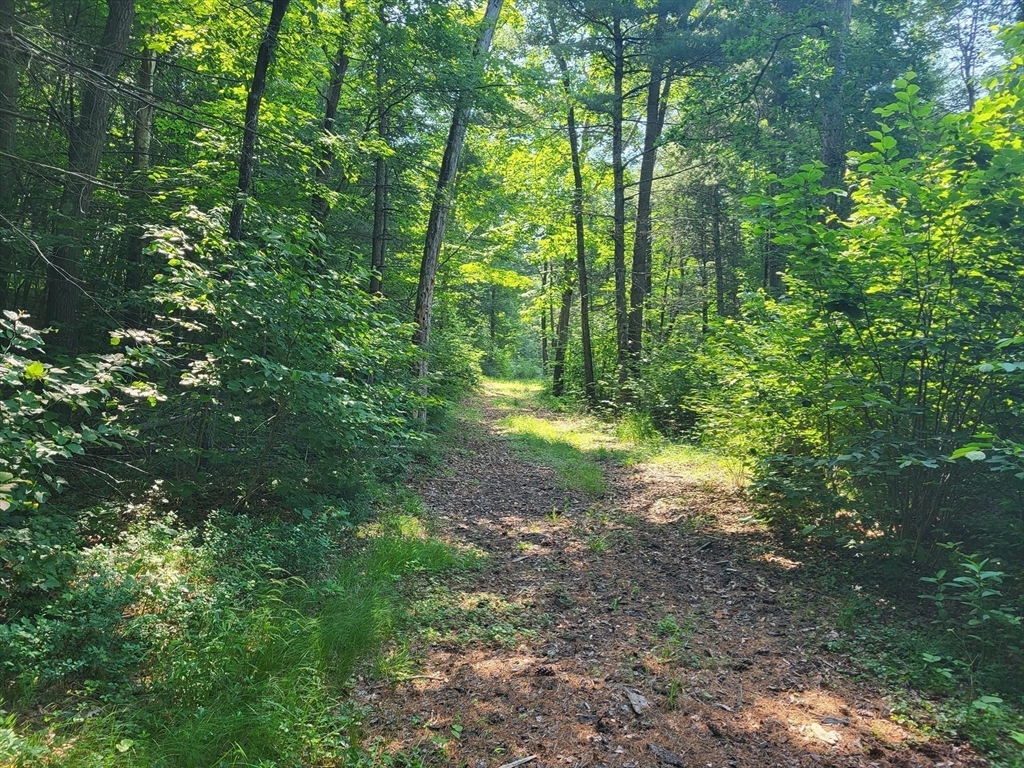 Xoxo River Rd Property Photo 14