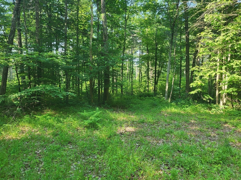 Xoxo River Rd Property Photo 15