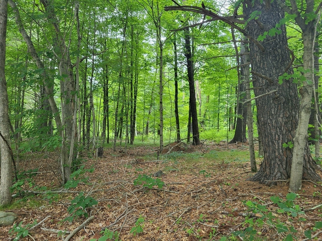 Xoxo River Rd Property Photo 23