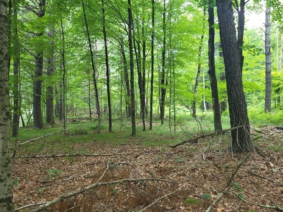 Xoxo River Rd Property Photo 24