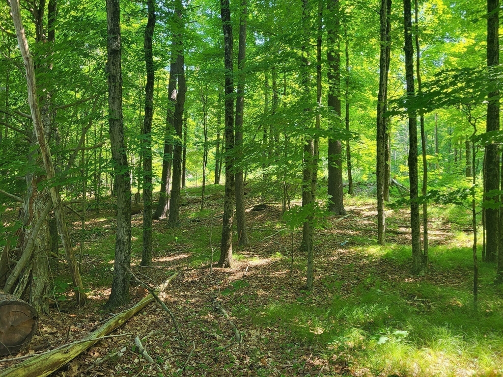 Xoxo River Rd Property Photo 29