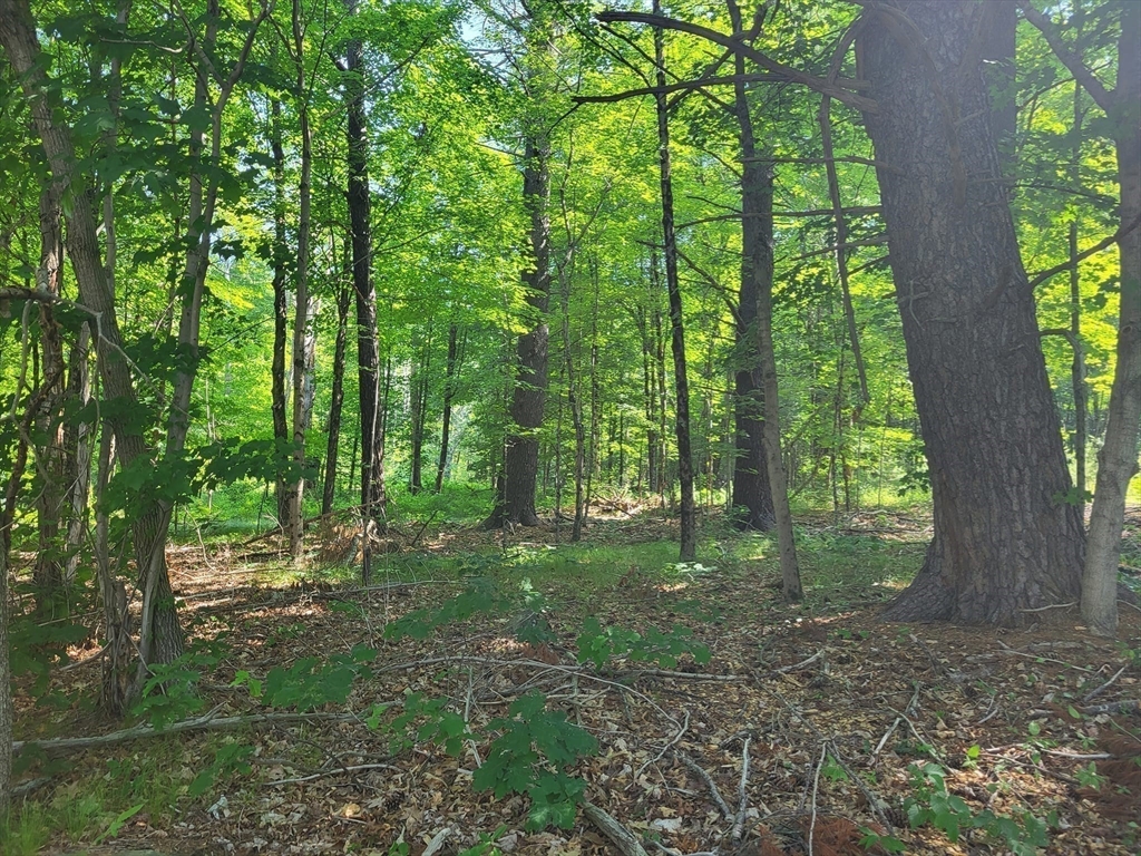 Xoxo River Rd Property Photo 30