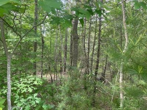 170 Elm Street Property Photo 1