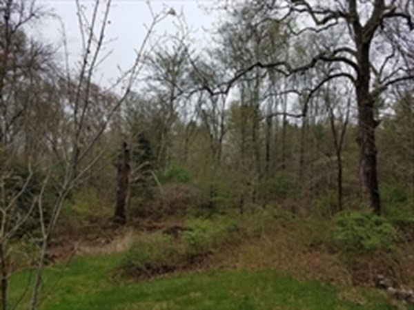 170 Elm Street Property Photo 7