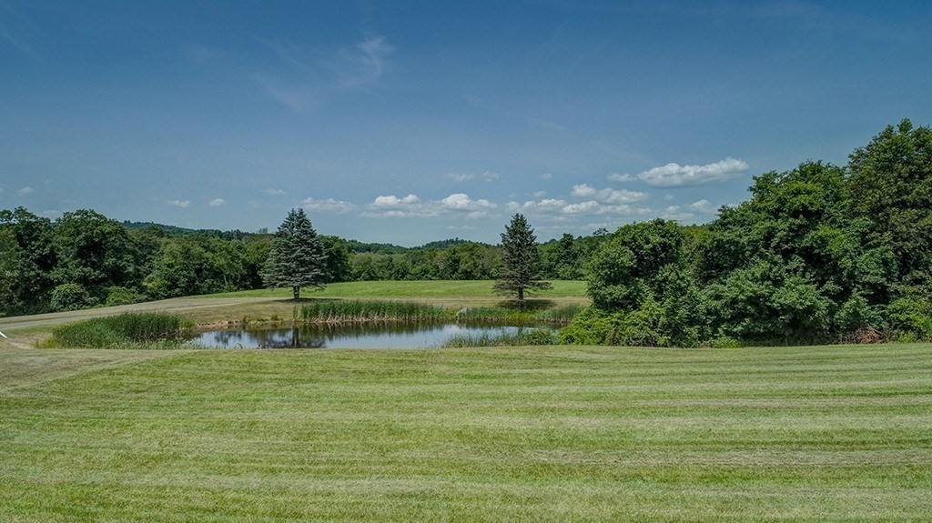 228 Barre Road Property Photo 15