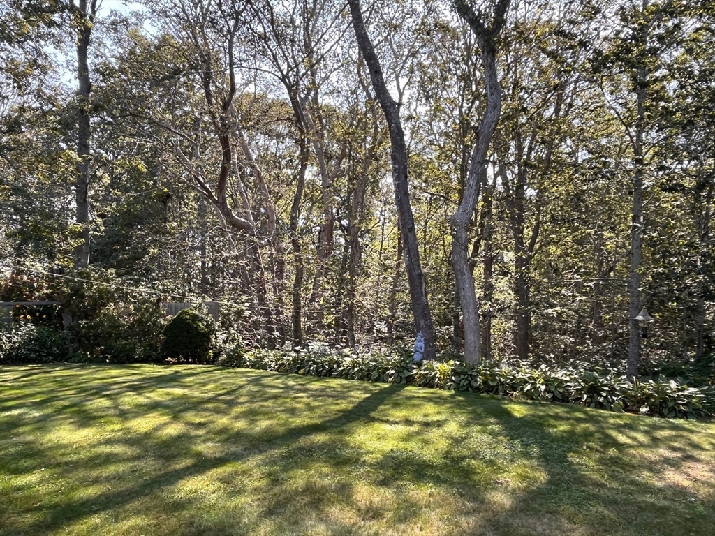 69 Beechwood Dr Property Photo 27