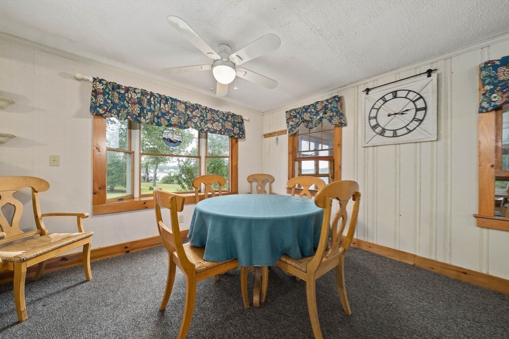 15 Broadmarsh Ave Property Photo 18