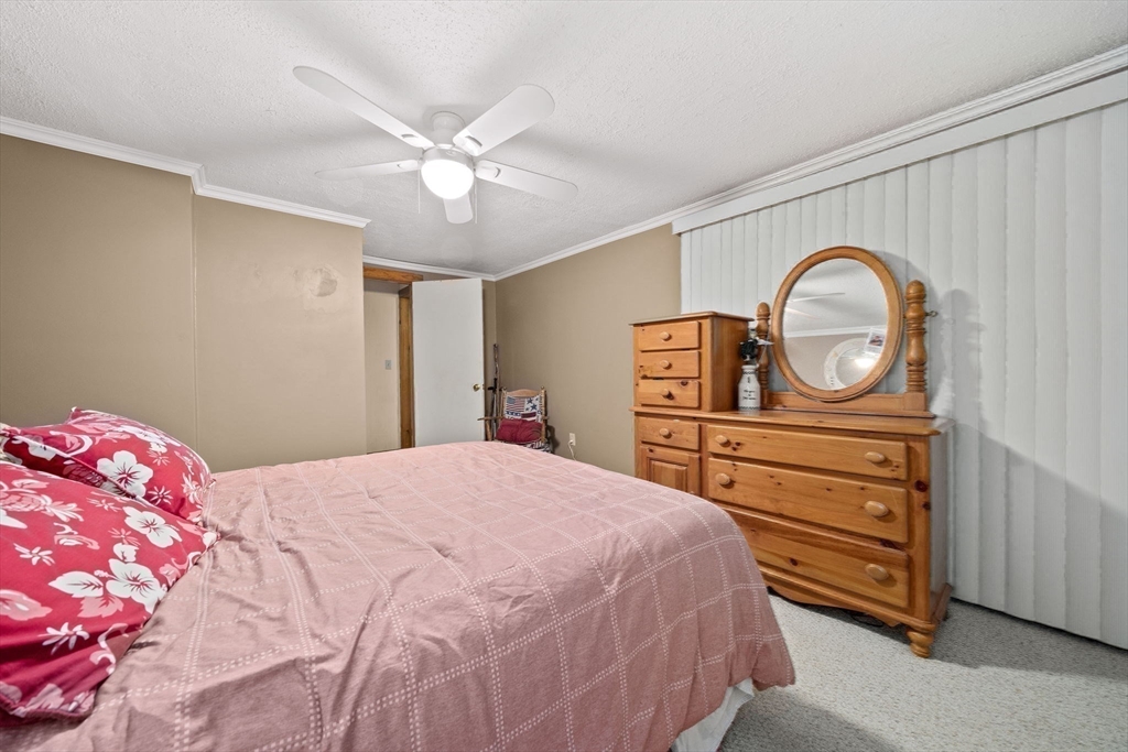15 Broadmarsh Ave Property Photo 27