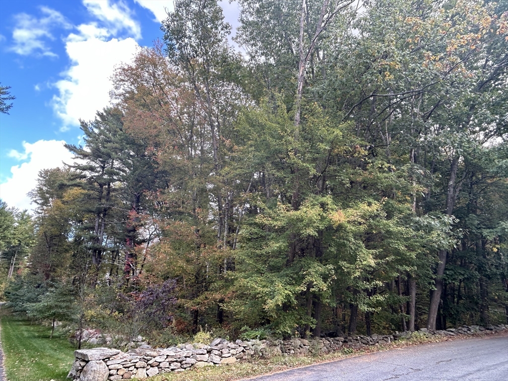 230-a Gulf Street, Shrewsbury — land