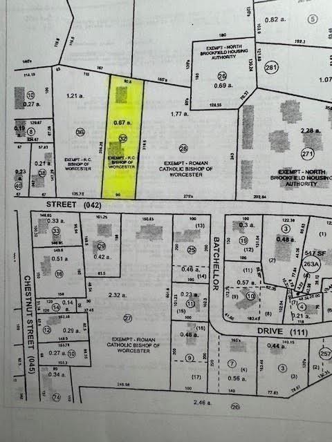 32 Mount Pleasant St Property Photo 42