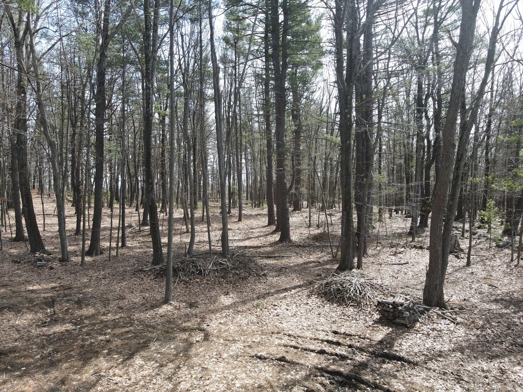 0 Pinnacle Road Property Photo 1