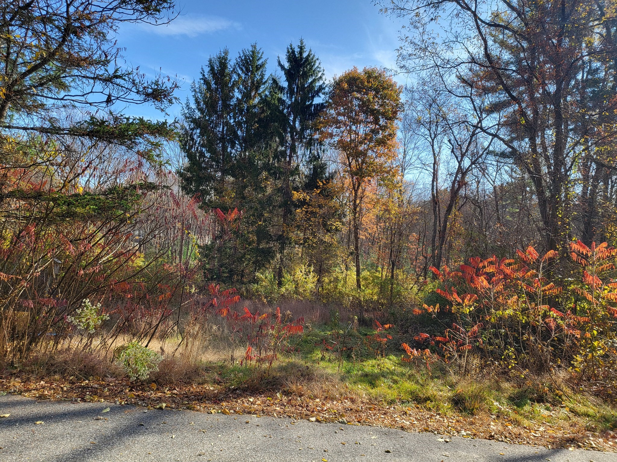 0 Hillside Drive Property Photo 1