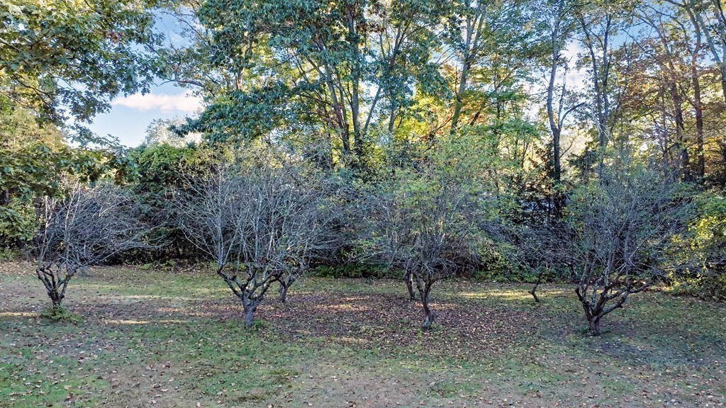 242 Eastwood Dr Property Photo 29