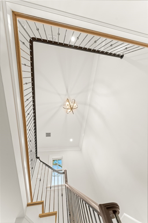 9 Chandler Street Property Photo 7