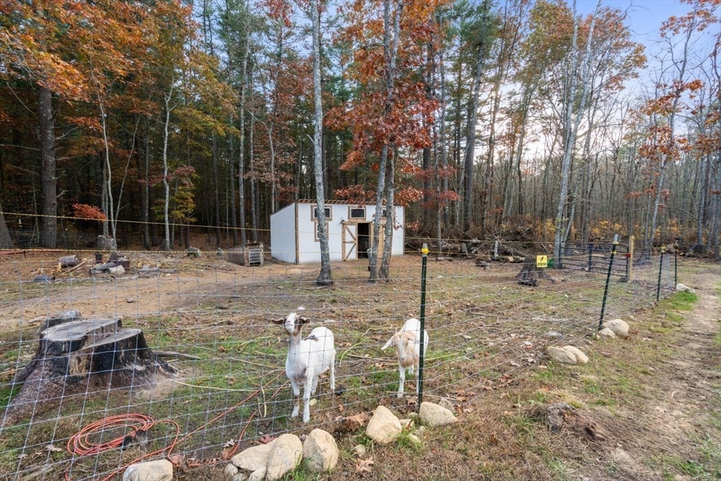 75 Walnut Plain Rd Property Photo 38
