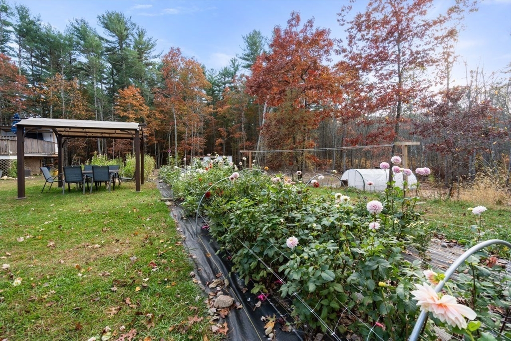 75 Walnut Plain Rd Property Photo 39