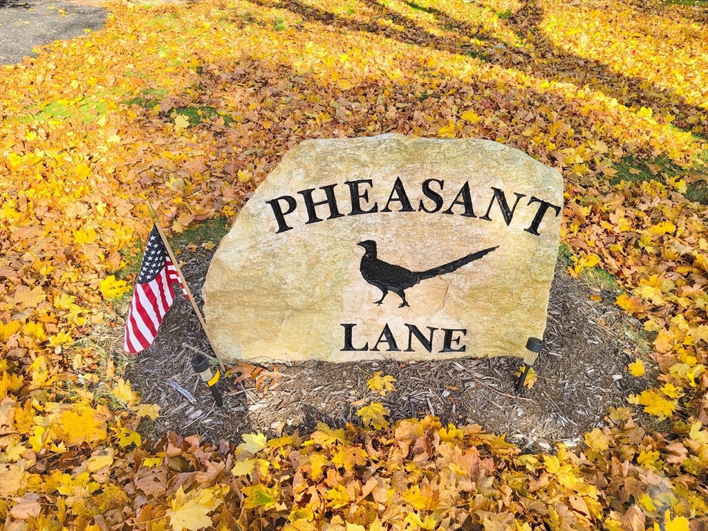 88 Pheasant Lane Property Photo 5
