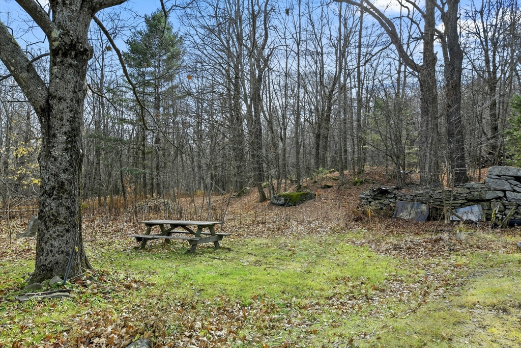 768 Washington Mountain Rd Property Photo 11