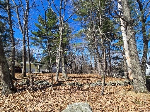 212 Chestnut Street Property Photo 5