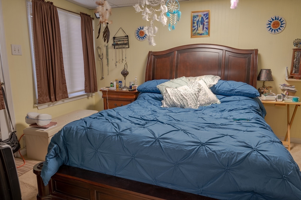 212 Chestnut Street Property Photo 40