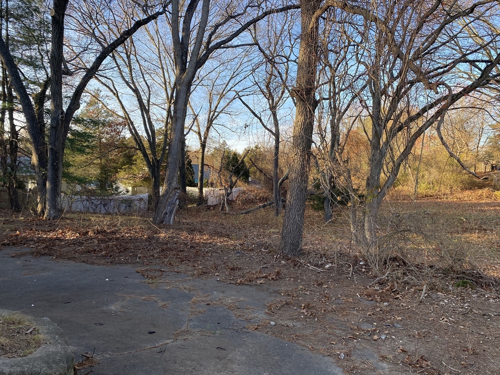 5 Hickory Road Property Photo 12