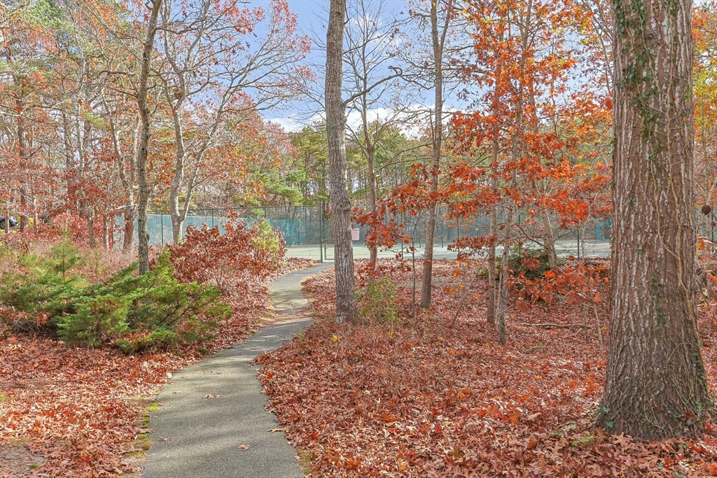 59 Route 6a # 2 Property Photo 15