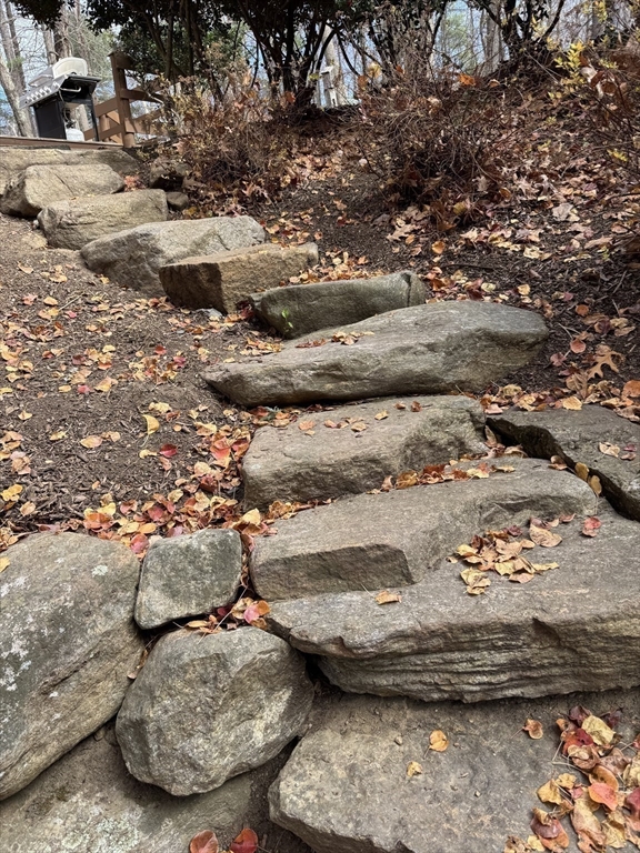 53 Hollow Property Photo 39