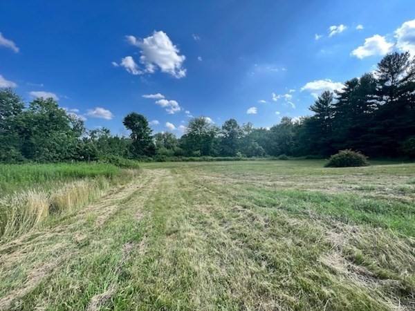 233 Mort Vining Road Property Photo 17