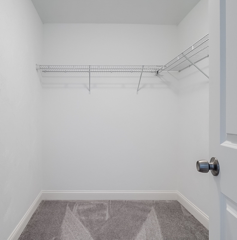 73 Shrine Avenue # 73 Property Photo 22