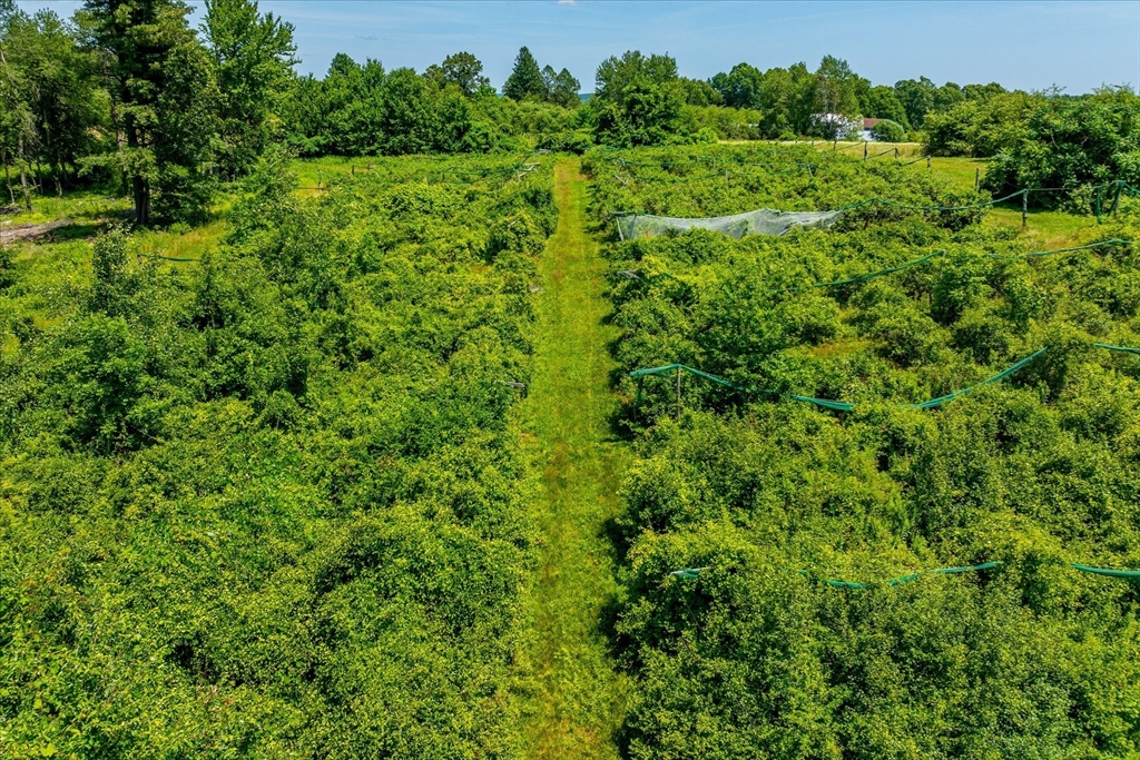 13 L Turner Road Property Photo 5