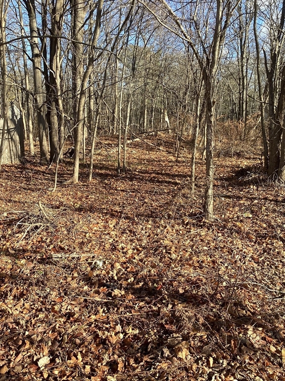 0 Prospect Property Photo 1
