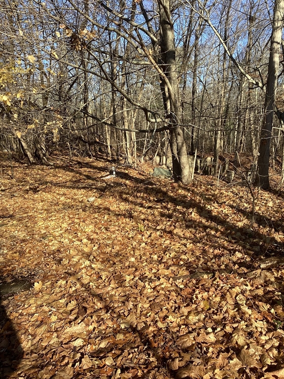 0 Prospect Property Photo 5