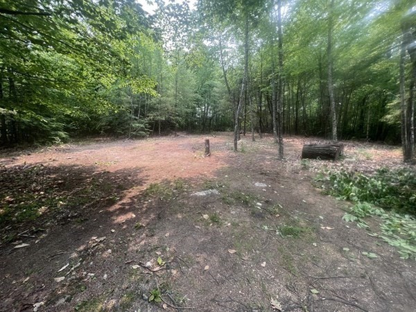 315 Lot 1 E County Road Property Photo 1