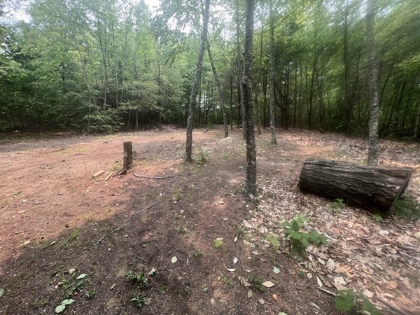 315 Lot 1 E County Road Property Photo 3