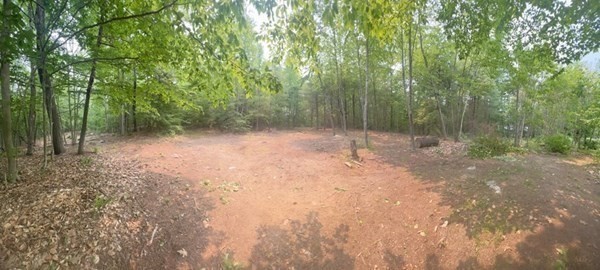 315 Lot 1 E County Road Property Photo 4