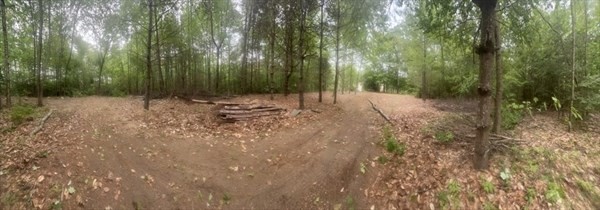 315 Lot 1 E County Road Property Photo 5
