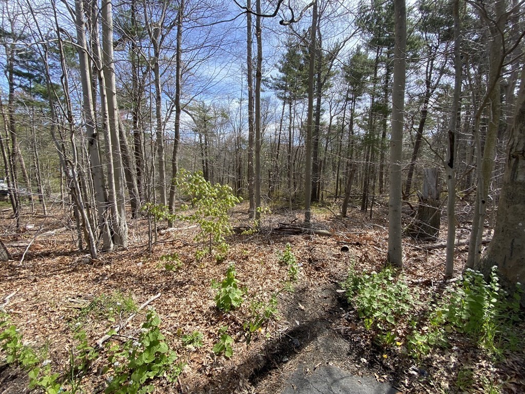 200 Cross Rd Property Photo 4