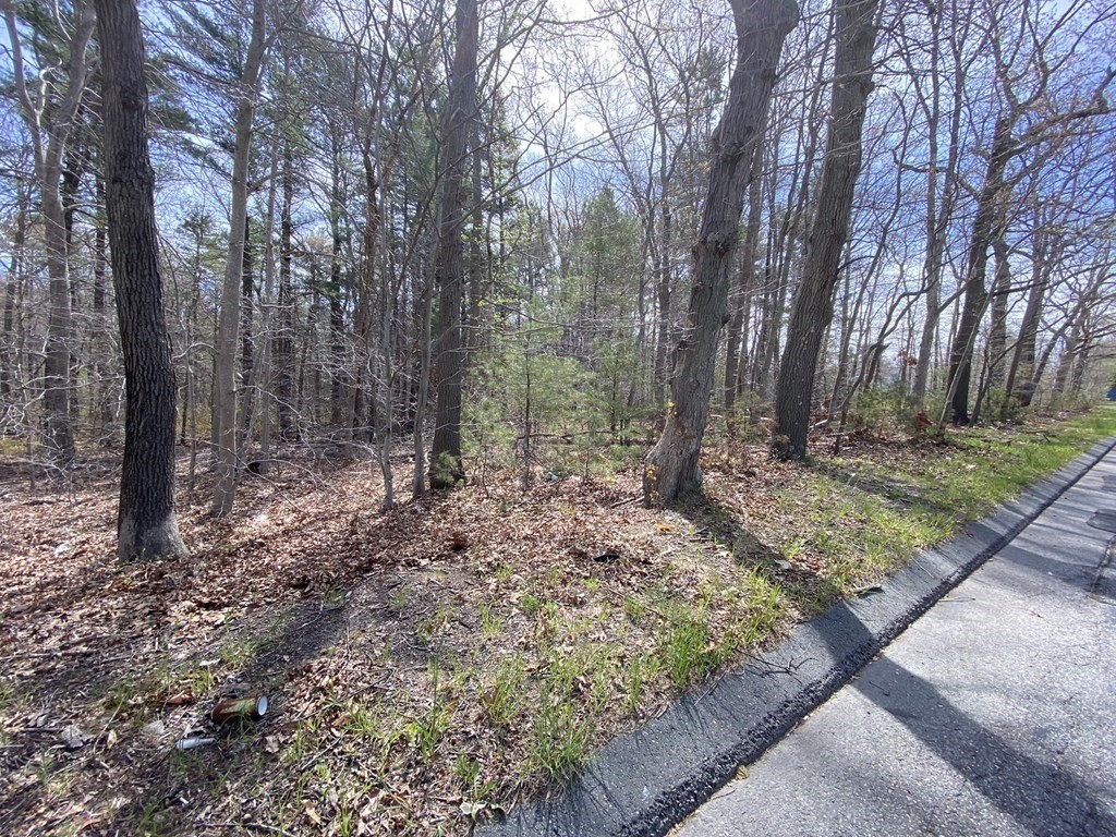 200 Cross Rd Property Photo 5
