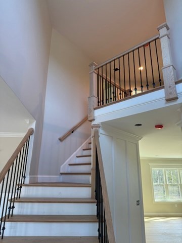Lot 2 10 Muriel Property Photo 4