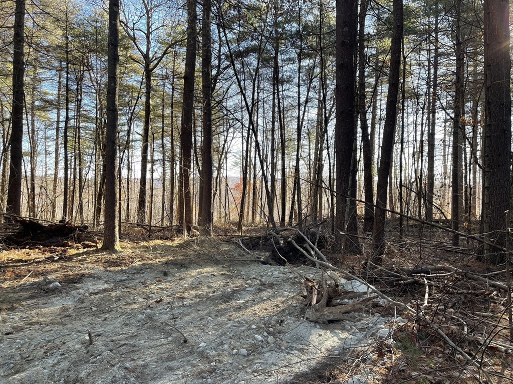 Lot 38a&29 Michael Sears Property Photo 1