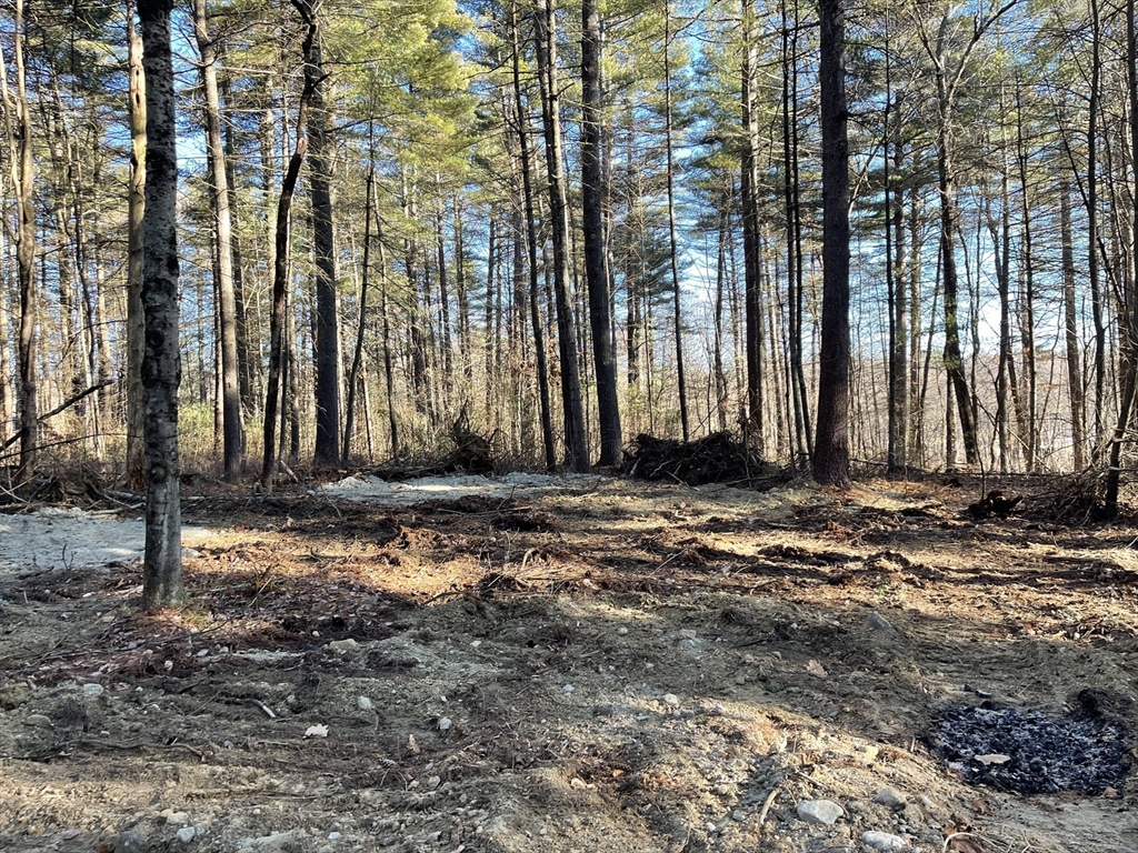 Lot 38a&29 Michael Sears Property Photo 2