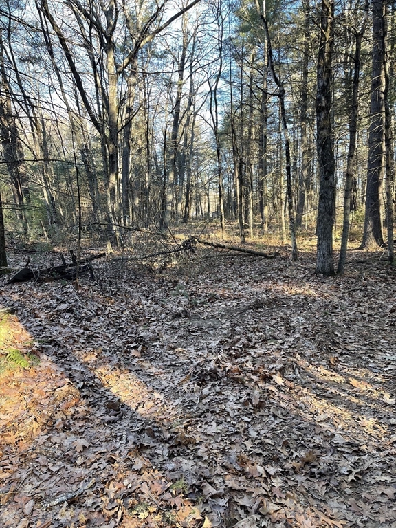 Lot 38a&29 Michael Sears Property Photo 4