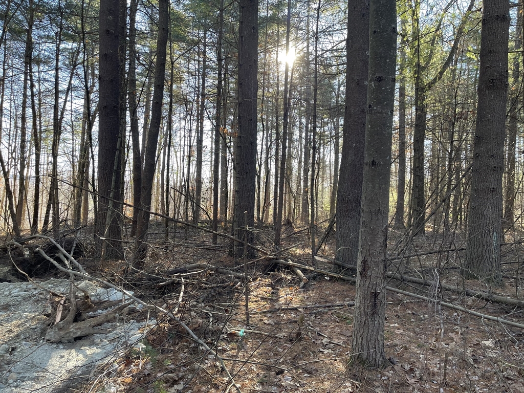 Lot 38a&29 Michael Sears Property Photo 6