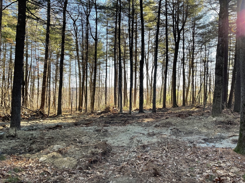 Lot 38b Michael Sears Property Photo 1