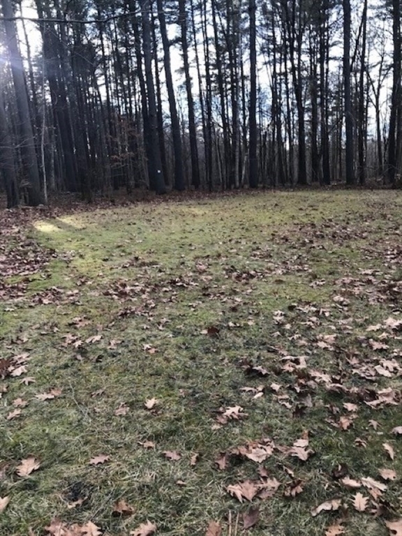 0 Judy Farm Road Property Photo 3