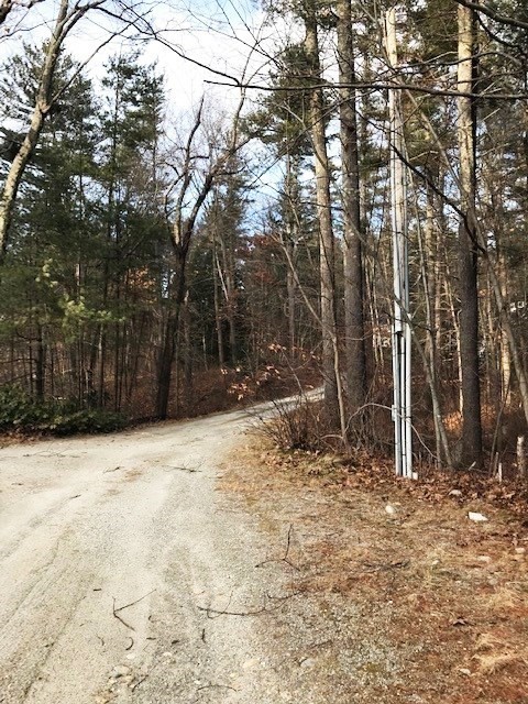 0 Judy Farm Road Property Photo 4