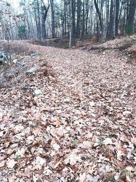 0 Judy Farm Road Property Photo 5